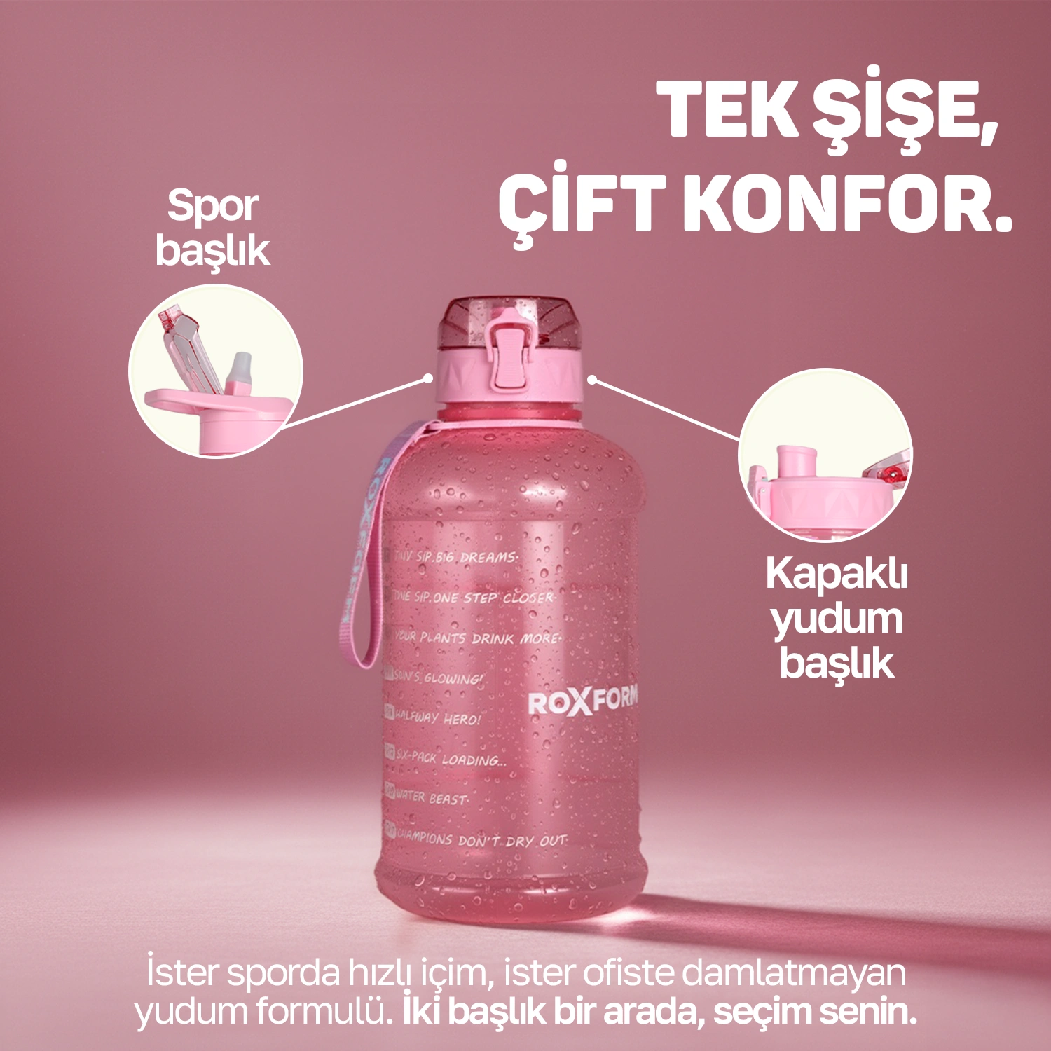 suluk2lpembe (2).webp (260 KB)