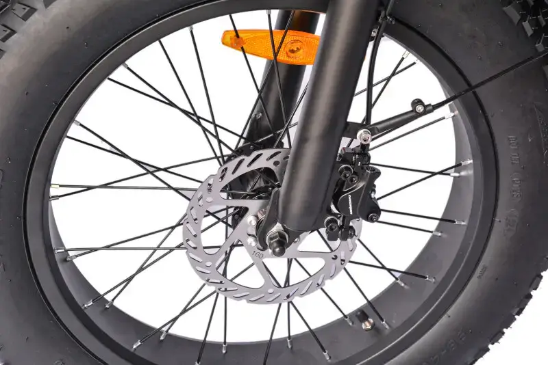 Roxform Ege Şehir Elektrikli Bisiklet - 250W Motor, 20