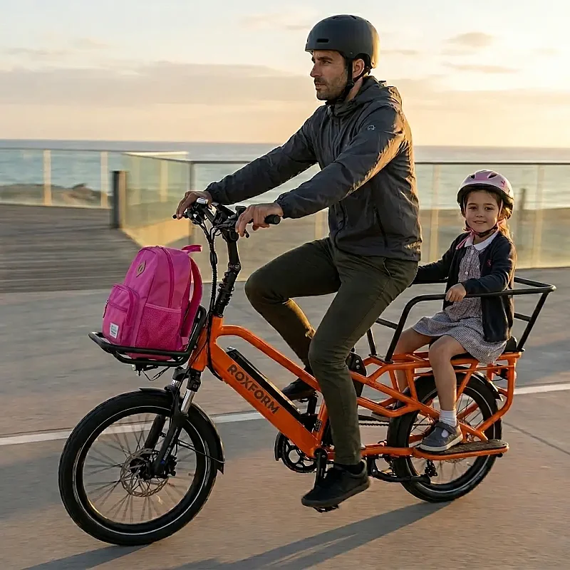 Roxform Porto L Çift Bataryalı Elektrikli Kargo Bisikleti Bafang Hub Motor 60Nm Tork Uzun Menzil - 15