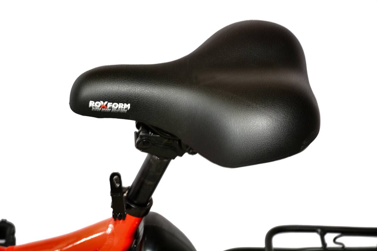 Roxform R-111 Elektrikli Katlanabilir Bisiklet 15AH Shimano Altus Hidrolik Fren Alüminyum Kadro - 36