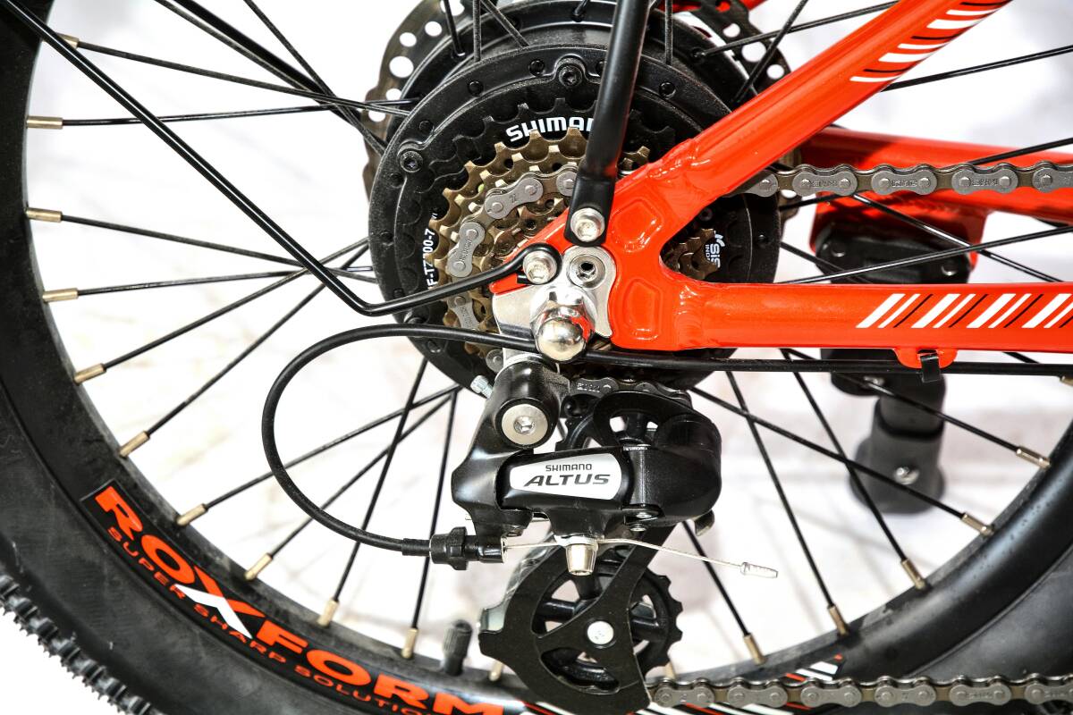 Roxform R-111 Elektrikli Katlanabilir Bisiklet 15AH Shimano Altus Hidrolik Fren Alüminyum Kadro - 59