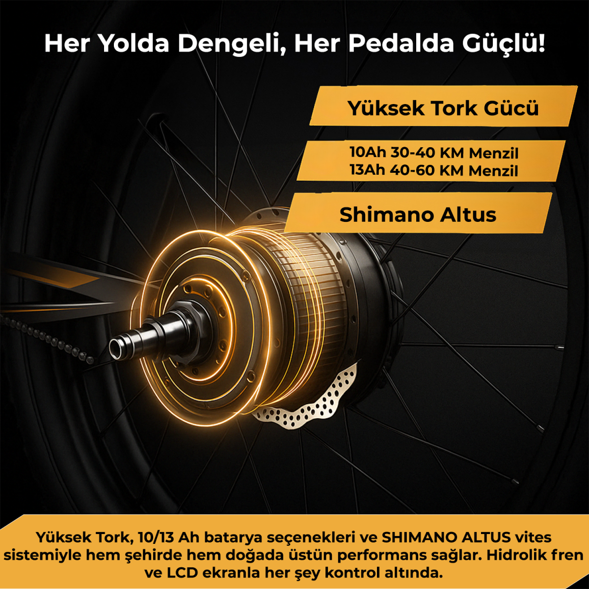Roxform R-200 PRO Elektrikli Katlanabilir Bisiklet 10AH/13AH Shimano Altus Hidrolik Fren Şehir Bisikleti - 24