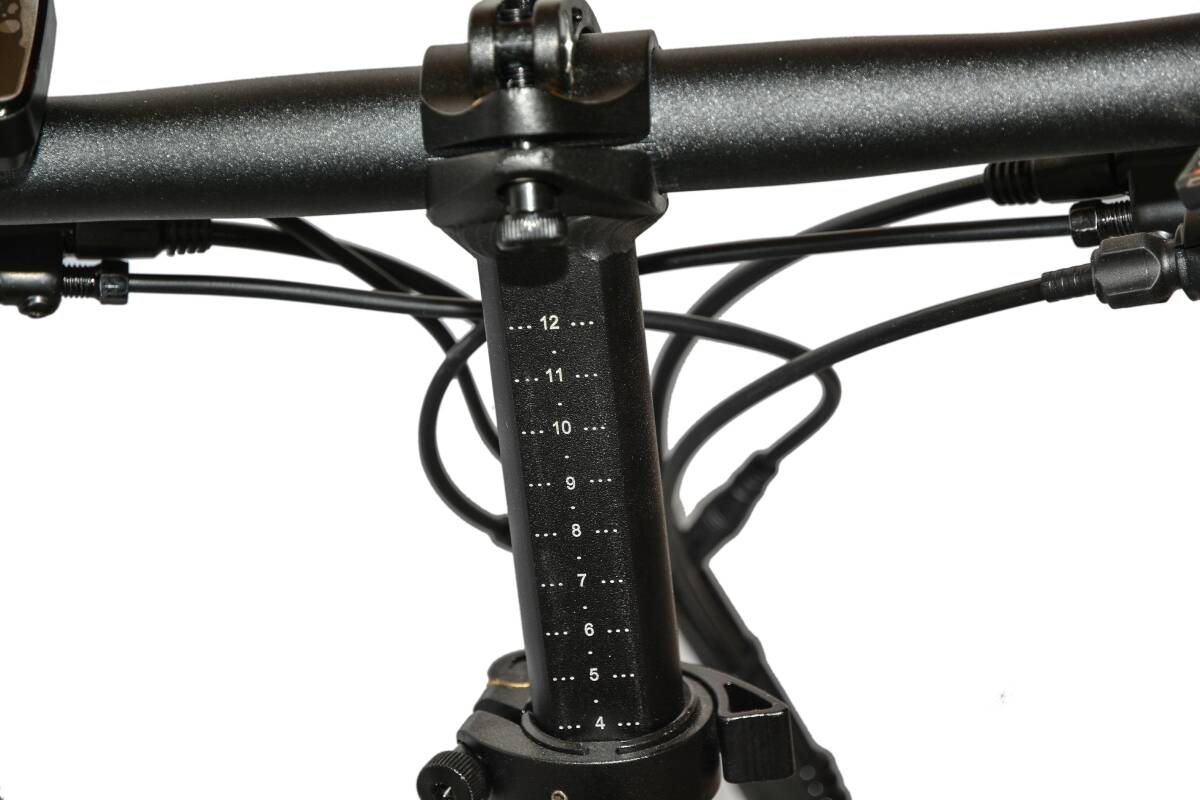 Roxform R-300 Elektrikli Katlanabilir Bisiklet 13AH/15AH Shimano Altus Hidrolik Fren Alüminyum Kadro - 43