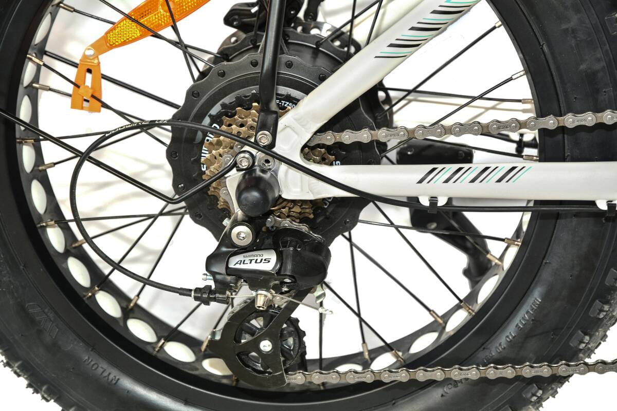 Roxform R-300 Elektrikli Katlanabilir Bisiklet 13AH/15AH Shimano Altus Hidrolik Fren Alüminyum Kadro - 61