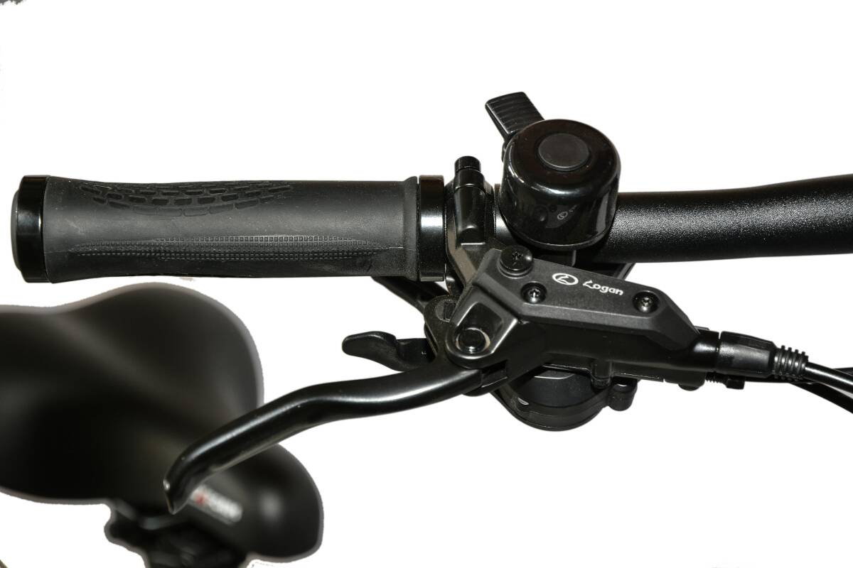 Roxform R-300 Elektrikli Katlanabilir Bisiklet 13AH/15AH Shimano Altus Hidrolik Fren Alüminyum Kadro - 65