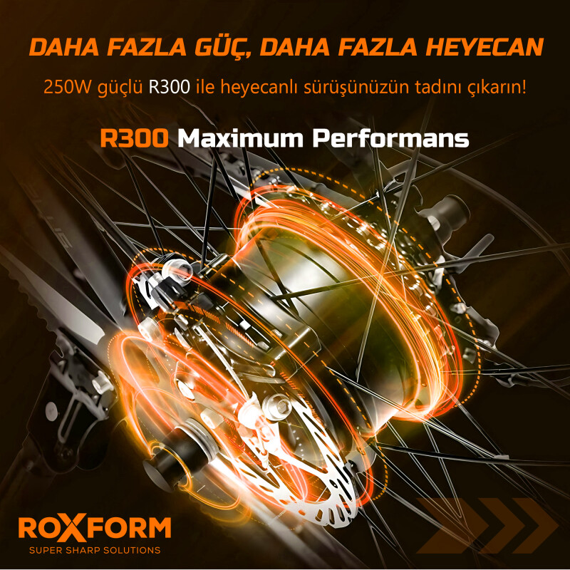 Roxform R-300 Elektrikli Katlanabilir Bisiklet 20 İnç Siyah - 4