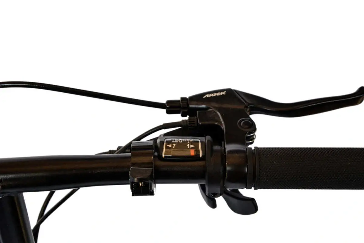 Roxform Sasha Elektrikli Şehir Bisikleti - 250W Motor, 20 inç Jant, LED Aydınlatma, Siyah - 4